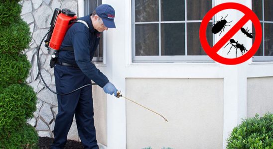 Sarayönü Fare İlaçlama böcek ilaçlama ve haşere kontrolü — ilaclama-tr.com
